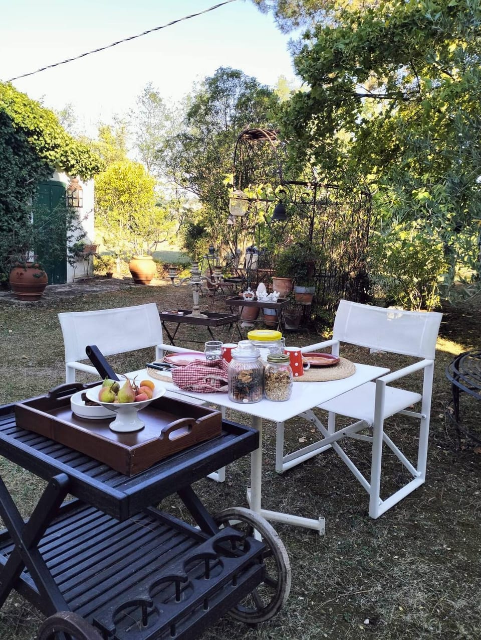 Patio, Day, Garden, Food and drinks