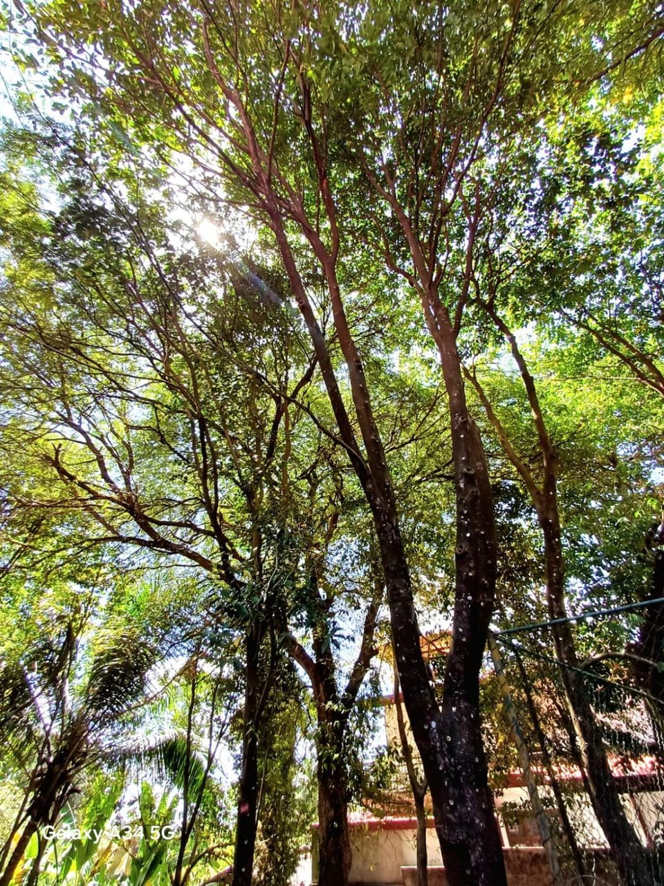 Natural landscape, Garden, Garden view