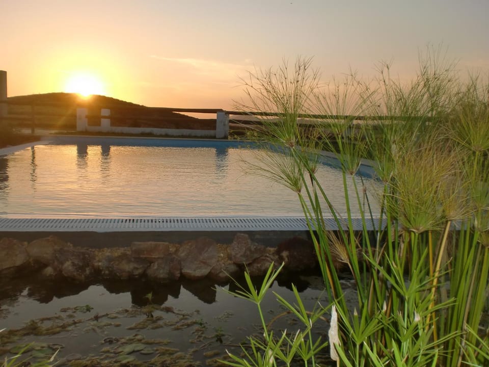 Swimming pool, Sunset