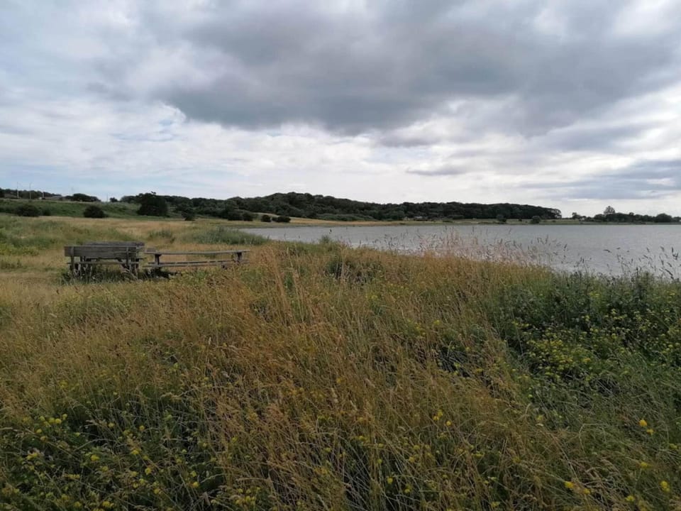 Lake view