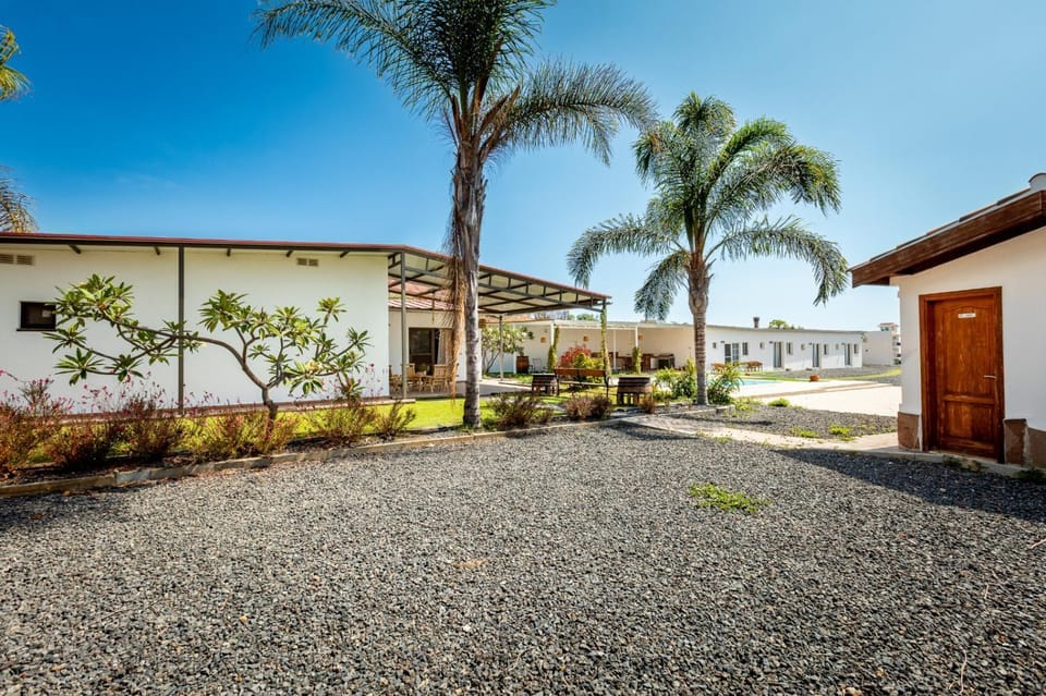 Luna Apartment, oasis in nature Apartment in Canary Islands