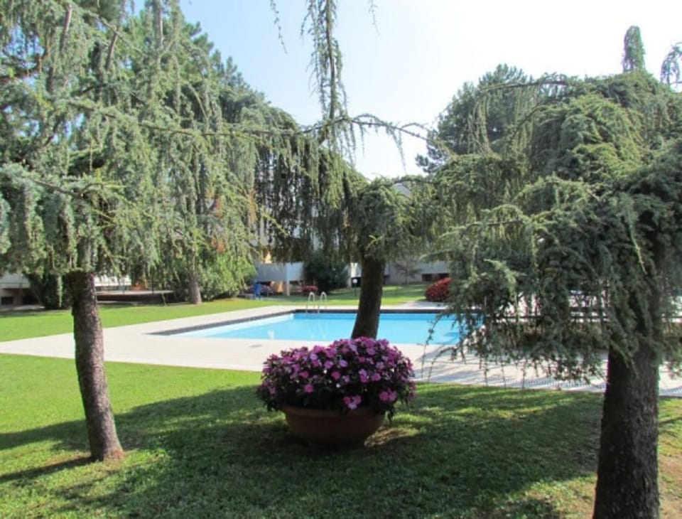 Garden, Swimming pool