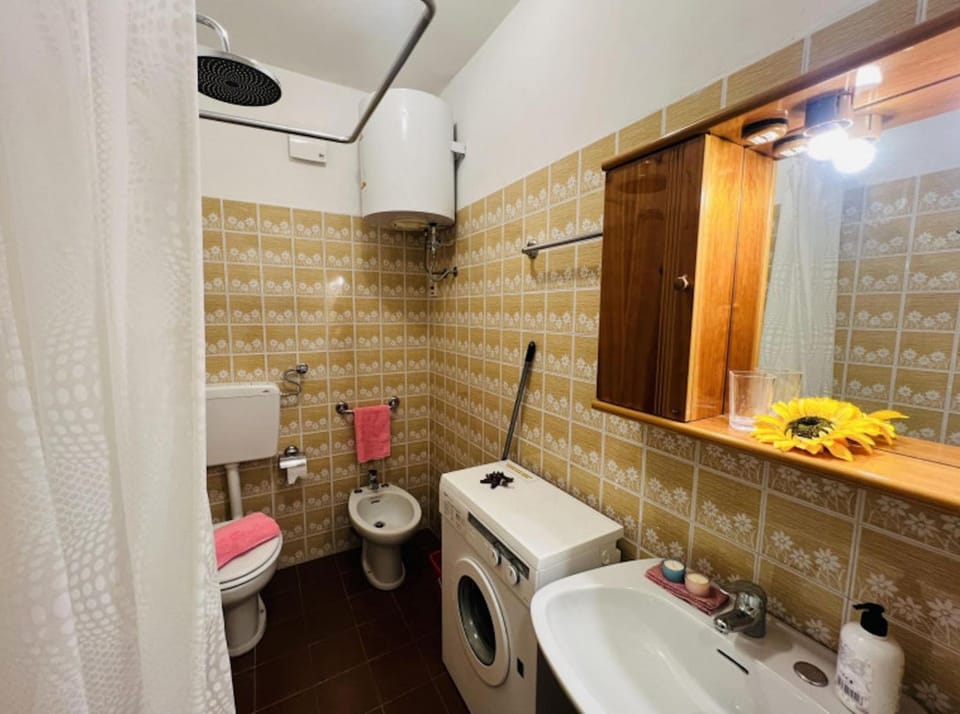 Toilet, Bathroom, washing machine