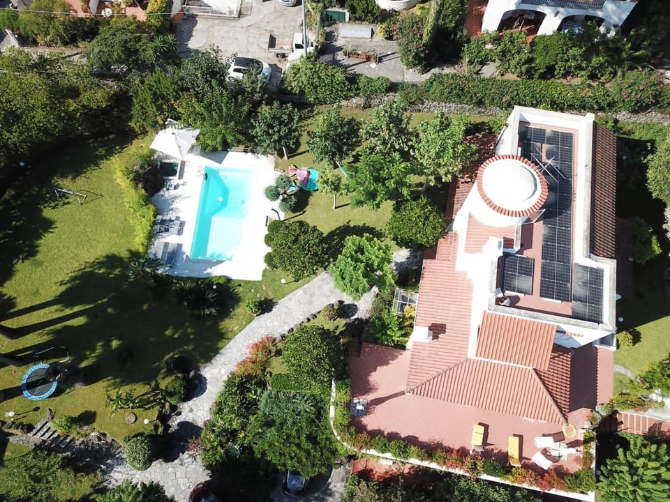 View (from property/room), Garden view