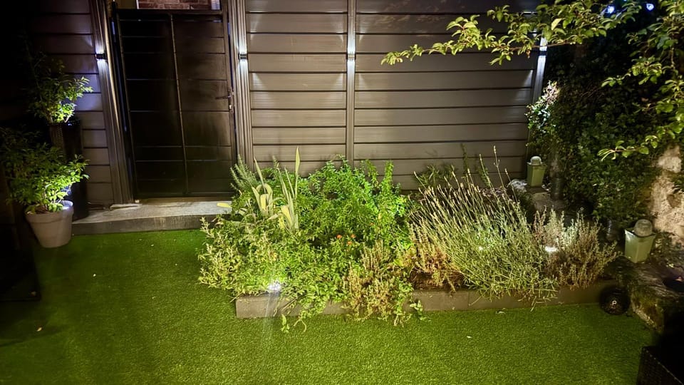 Night, Garden, Garden view