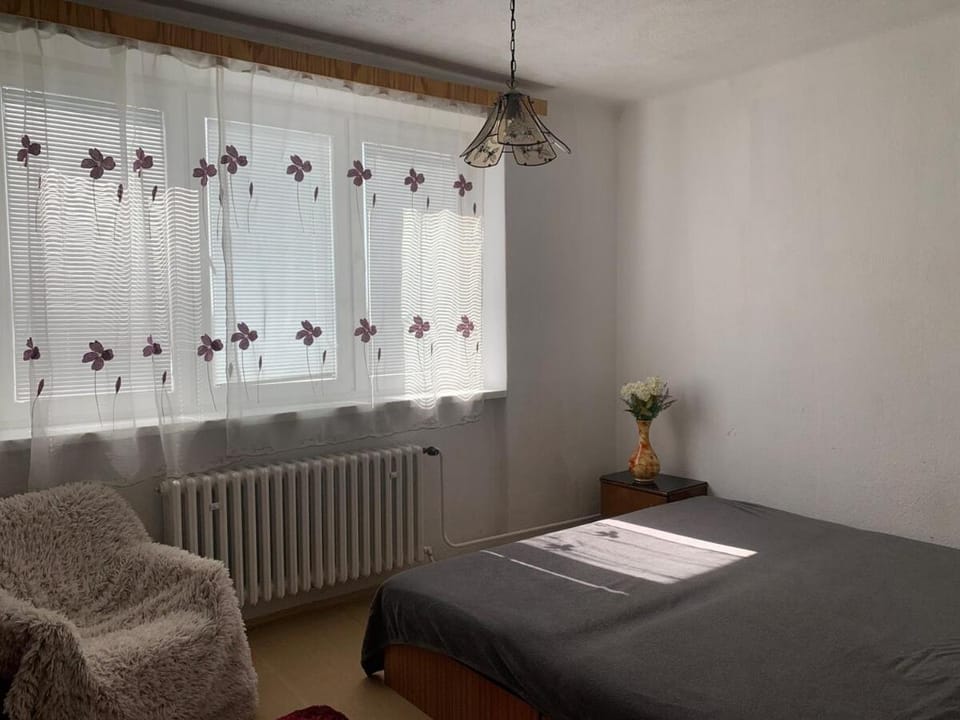 Relax Apartment in Slovakia