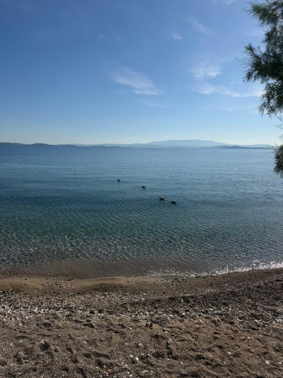 Geomelos Theodoros Apartments Apartment in Decentralized Administration of the Aegean