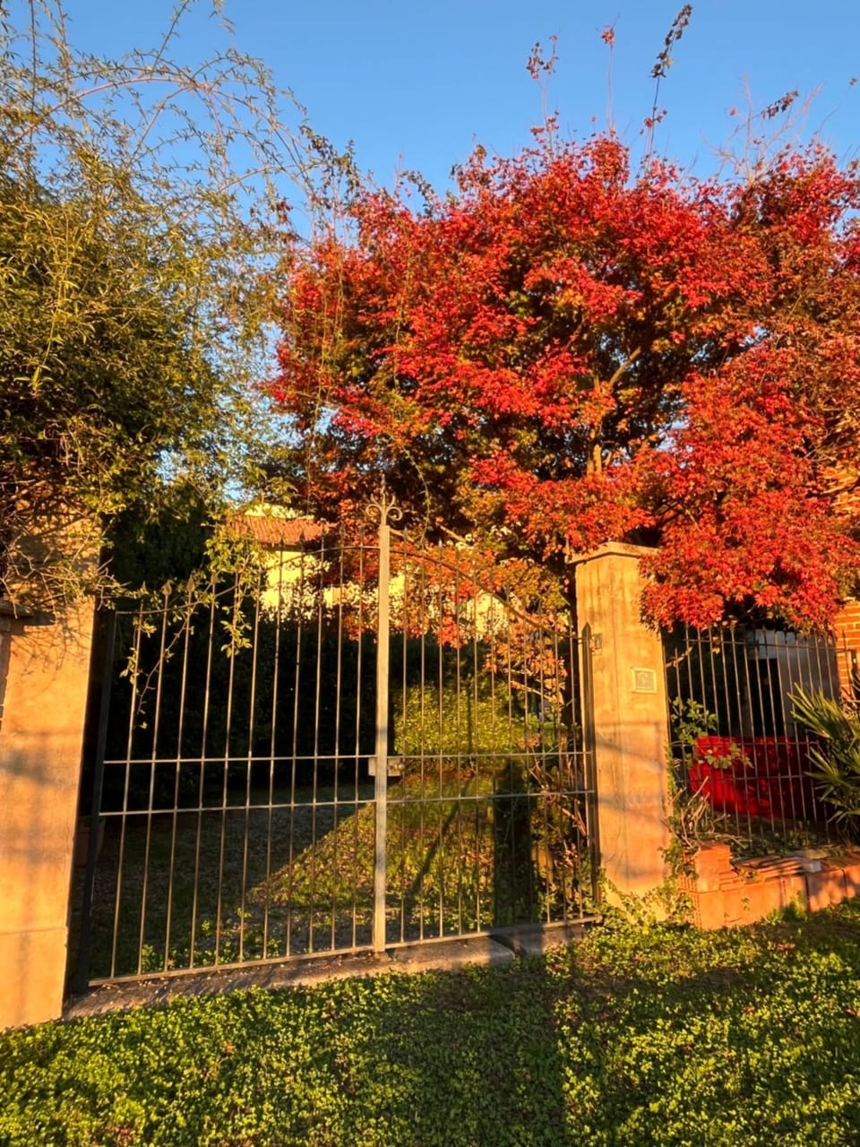 Casa Biloba Apartment in Piedmont