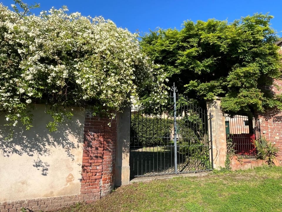 Casa Biloba Apartment in Piedmont