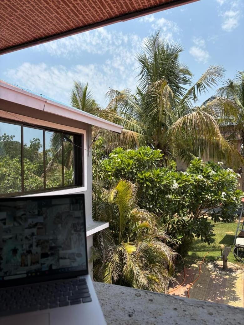 Natural landscape, Garden view