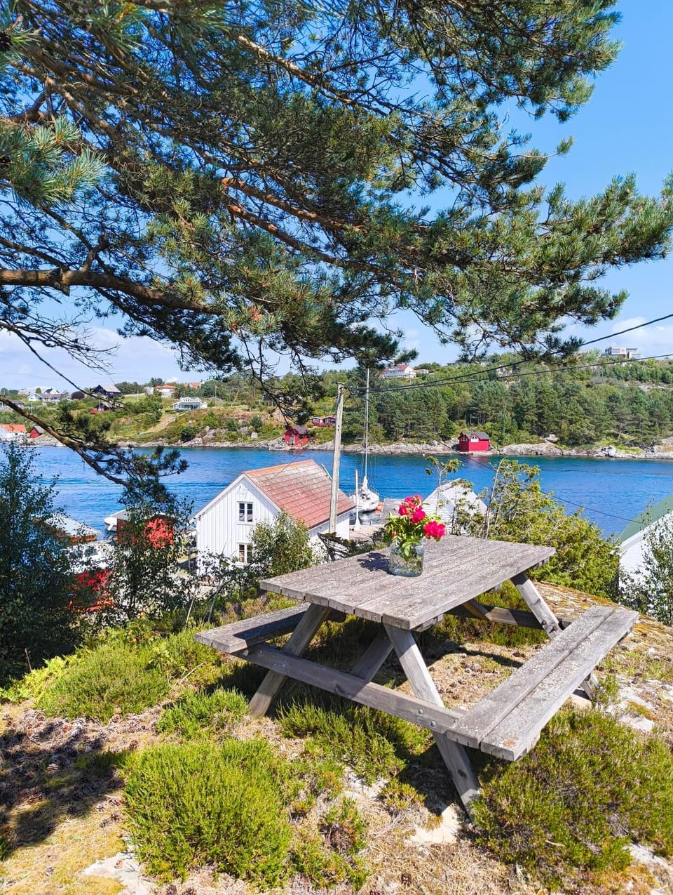 Natural landscape, Garden view, Sea view