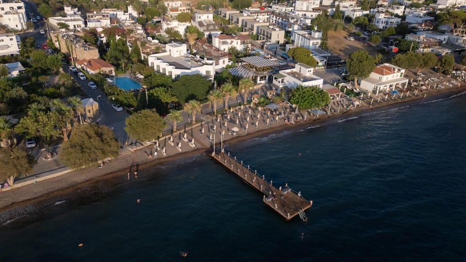 Bird's eye view, Location