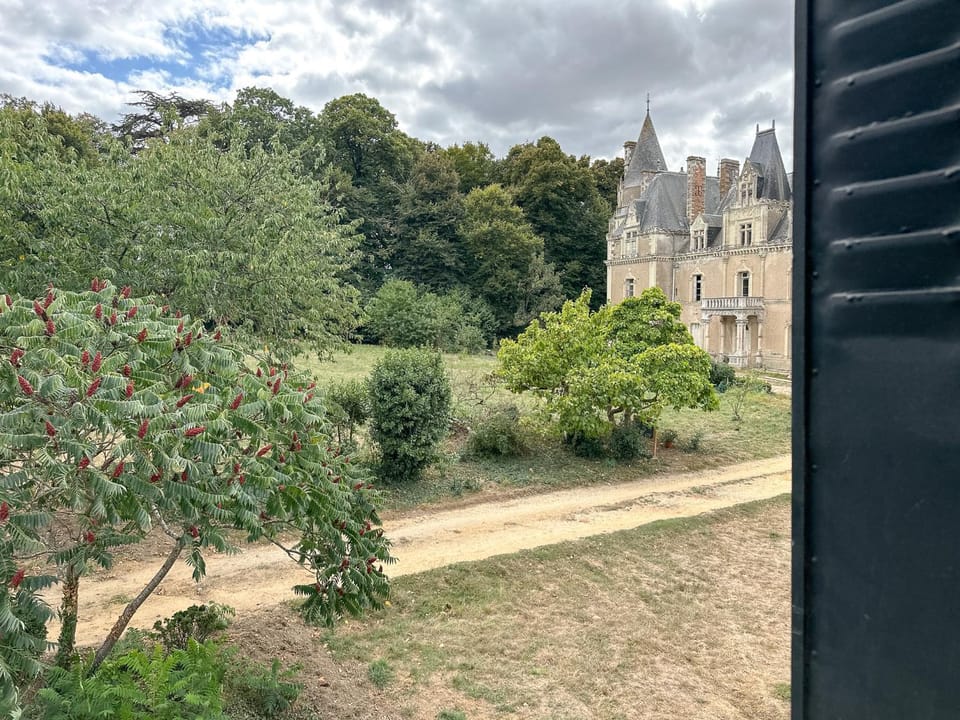 View (from property/room)