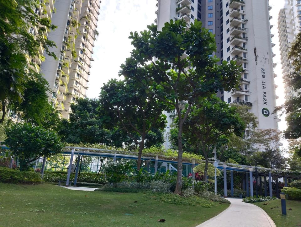 Garden view