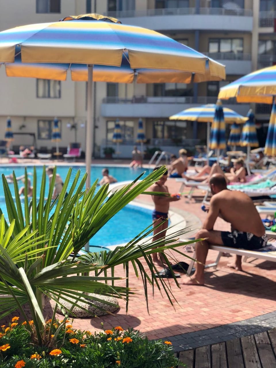 People, Pool view
