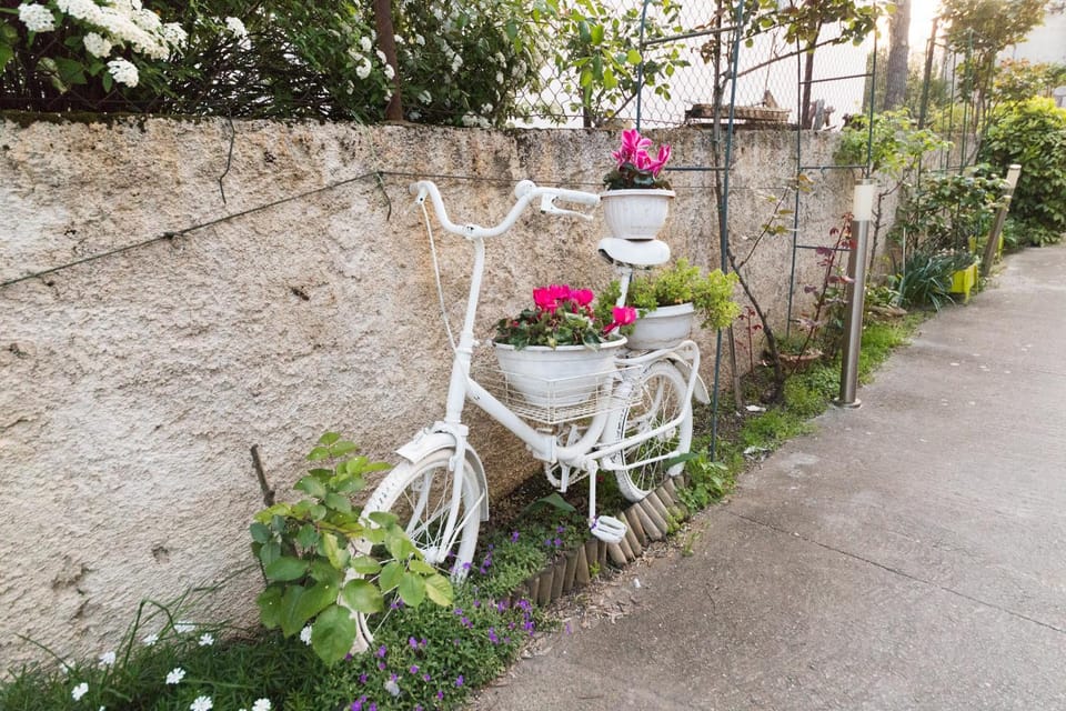 Spring, Garden, Decorative detail, Garden view