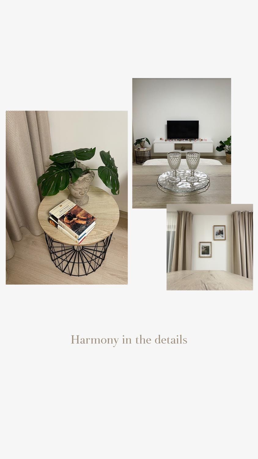 Harmony Apartment in Latvia