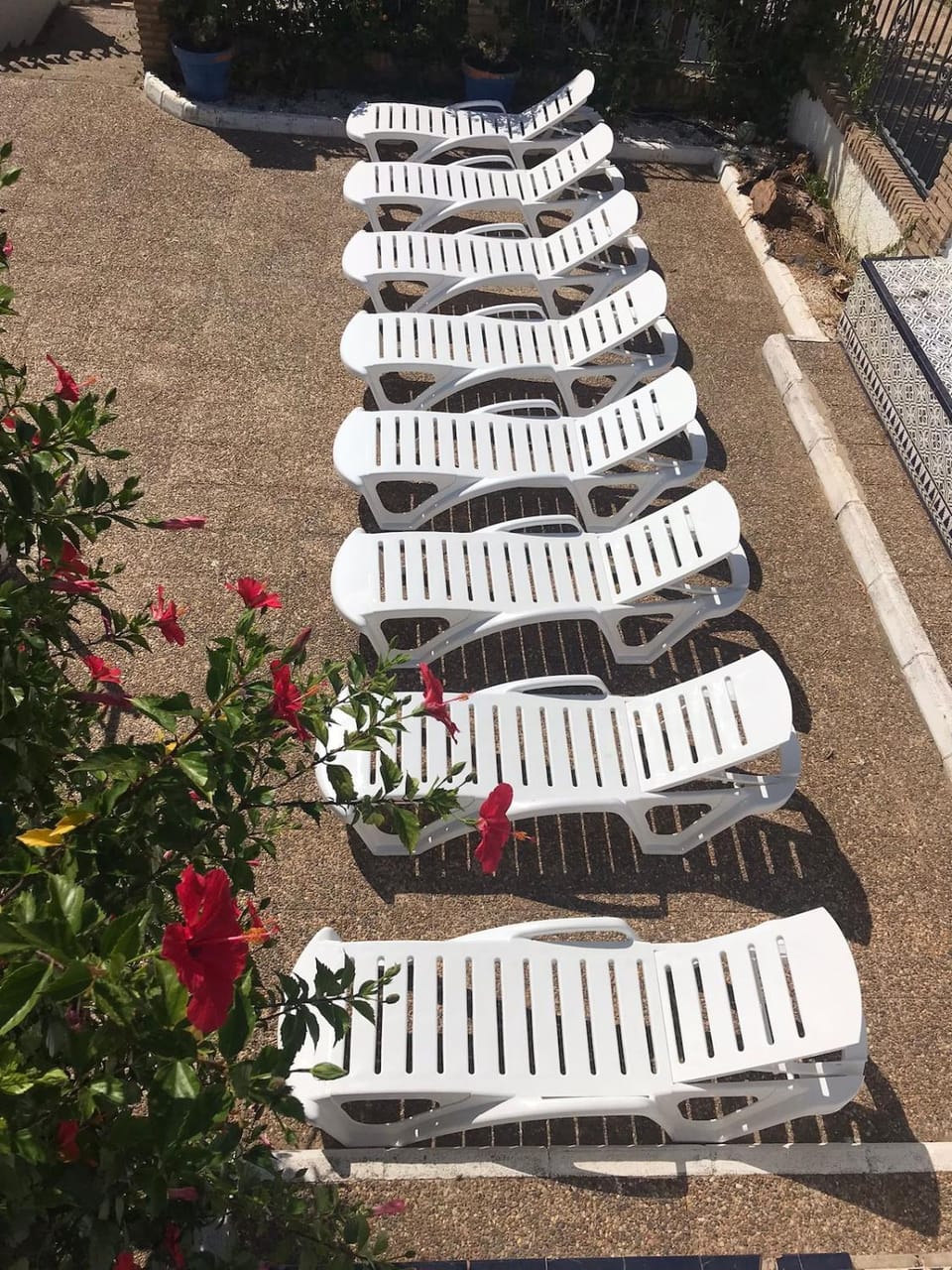 sunbed