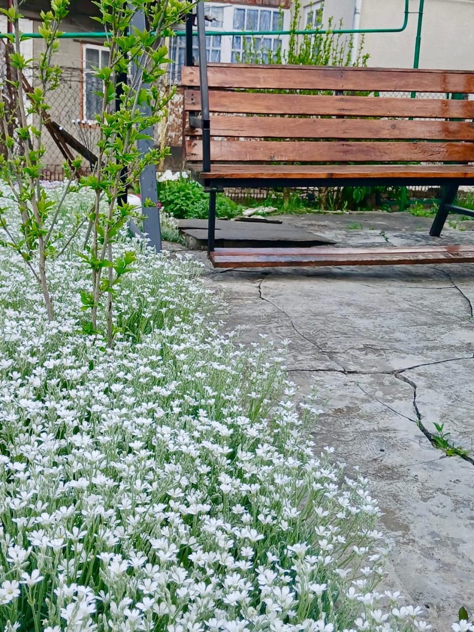 Entire House in Ocnița with Private Yard House in Moldova