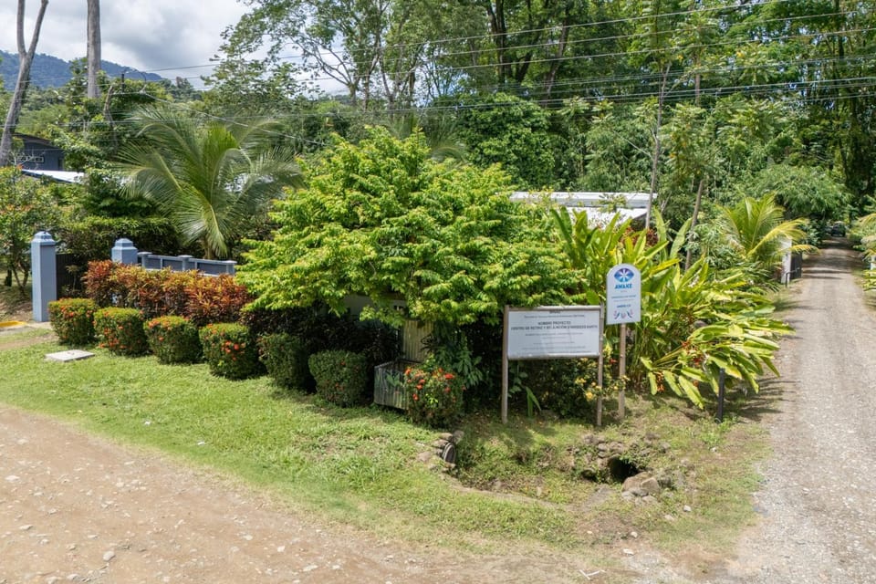 Property building, Garden view
