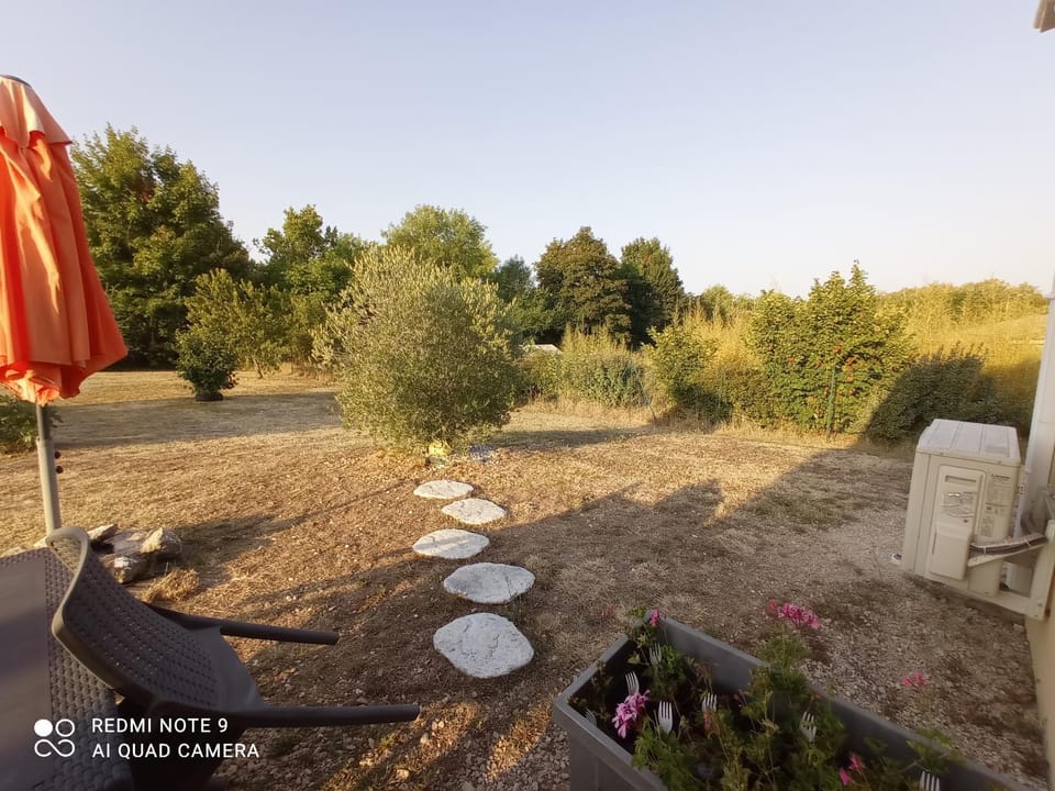 Spring, Day, Natural landscape, Garden, Garden view