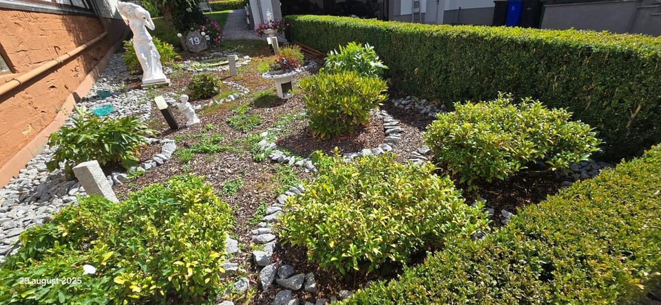 Garden, Garden view