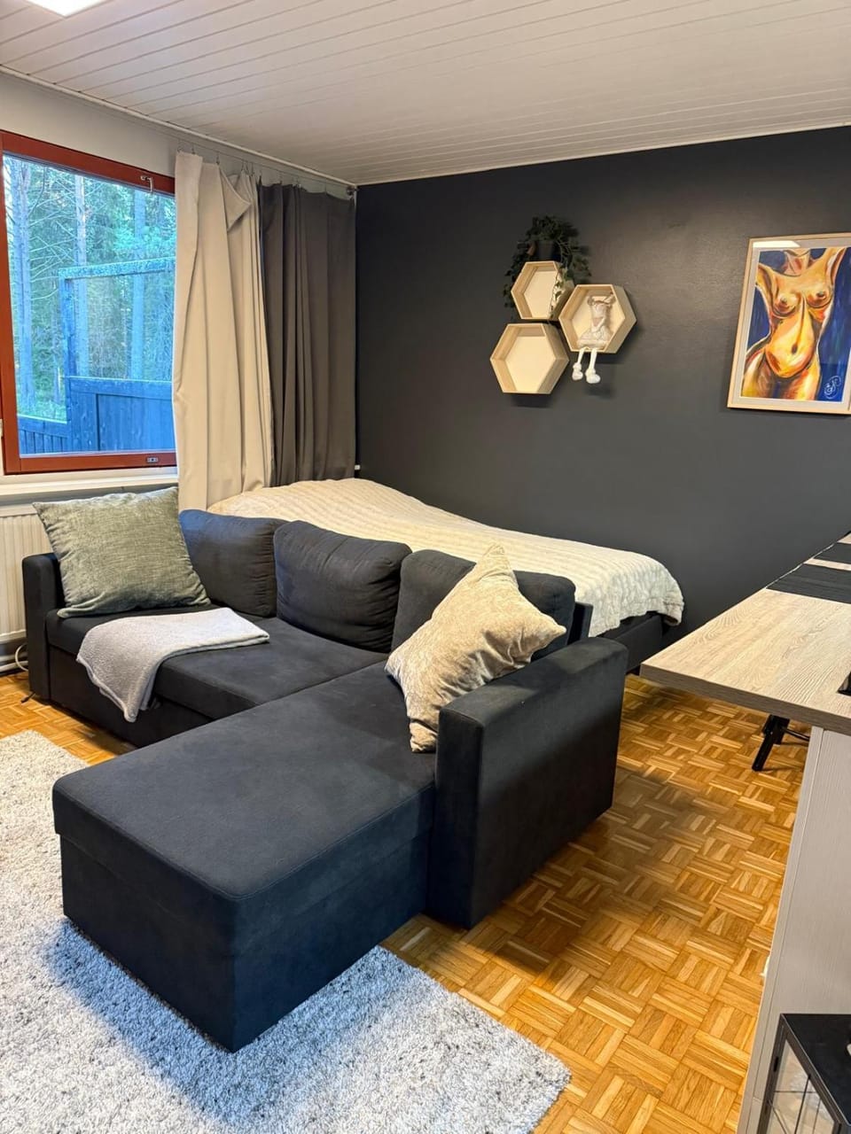 Compact beautiful apartment with sauna Apartment in Lapland