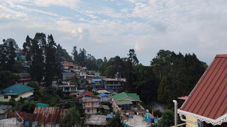 View (from property/room)
