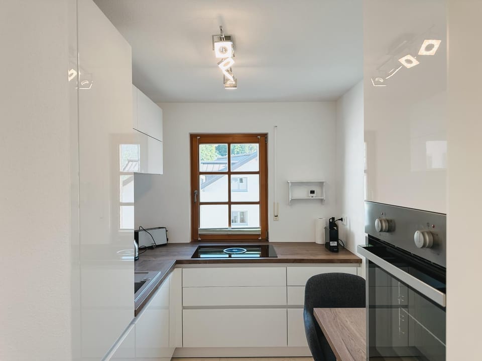 Kitchen or kitchenette, dishwasher, oven, stove