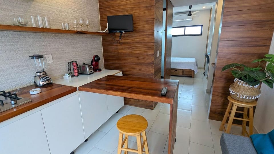 Luminous Studio in the Heart of Vallarta (3) Apartment in Puerto Vallarta