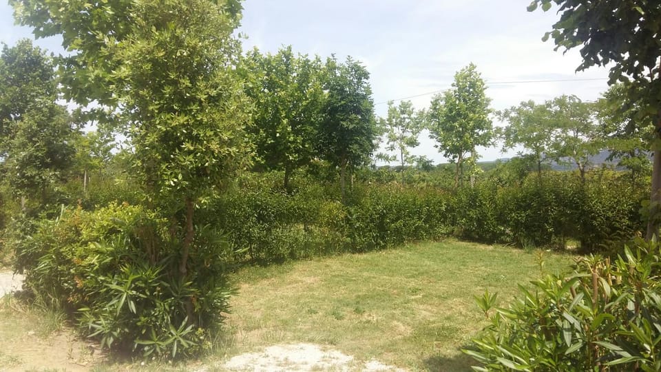 Area and facilities