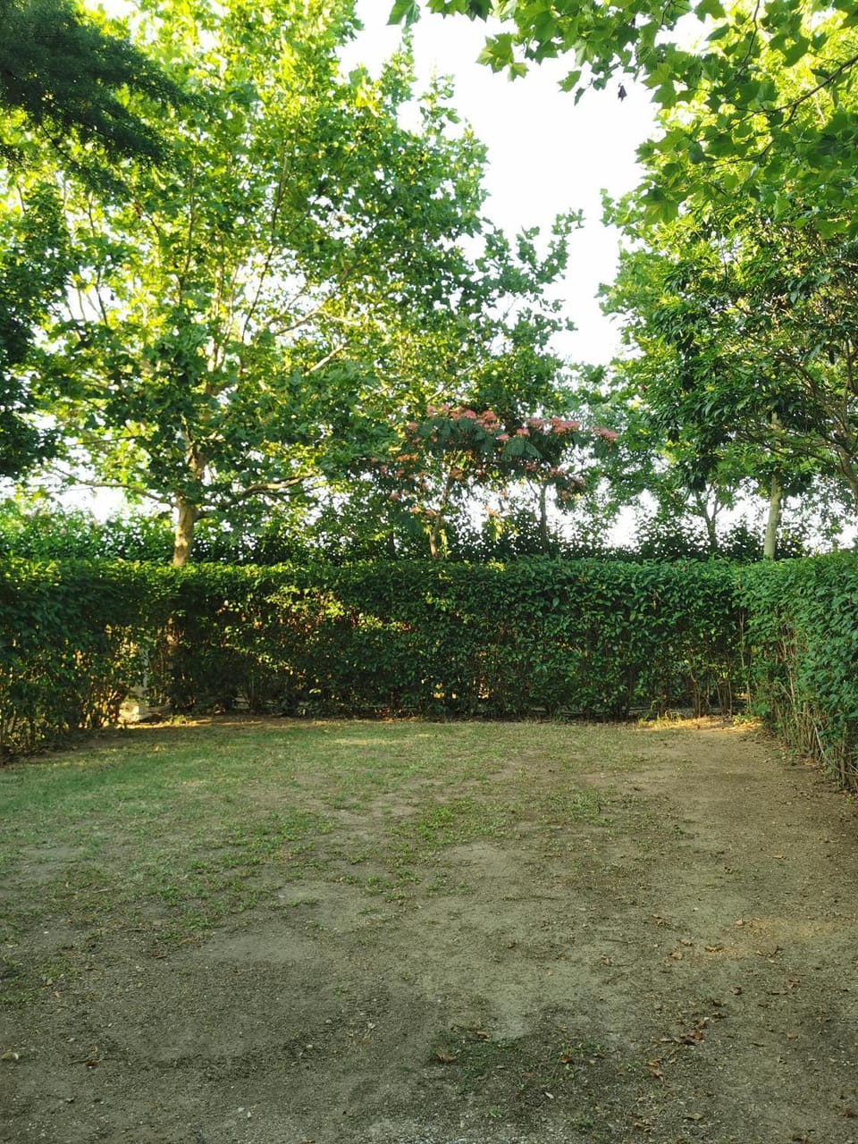 Glamping Agricampeggio Tognoni Campground/ 
RV Resort in Tuscany