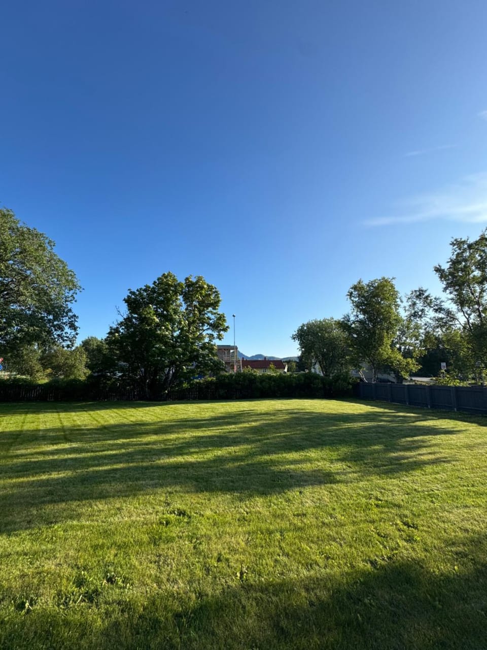 Spring, Day, Garden, Garden view