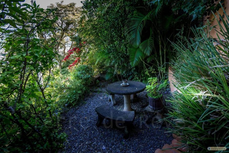 El Cabanon del Higuerón House in San José Province