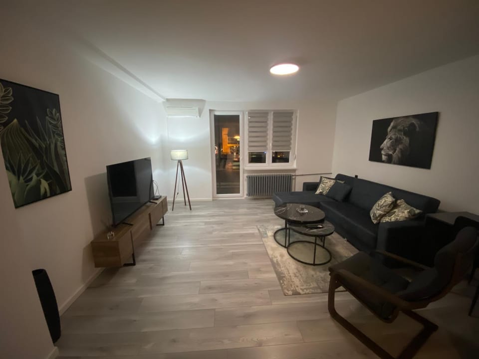 TV and multimedia, Living room