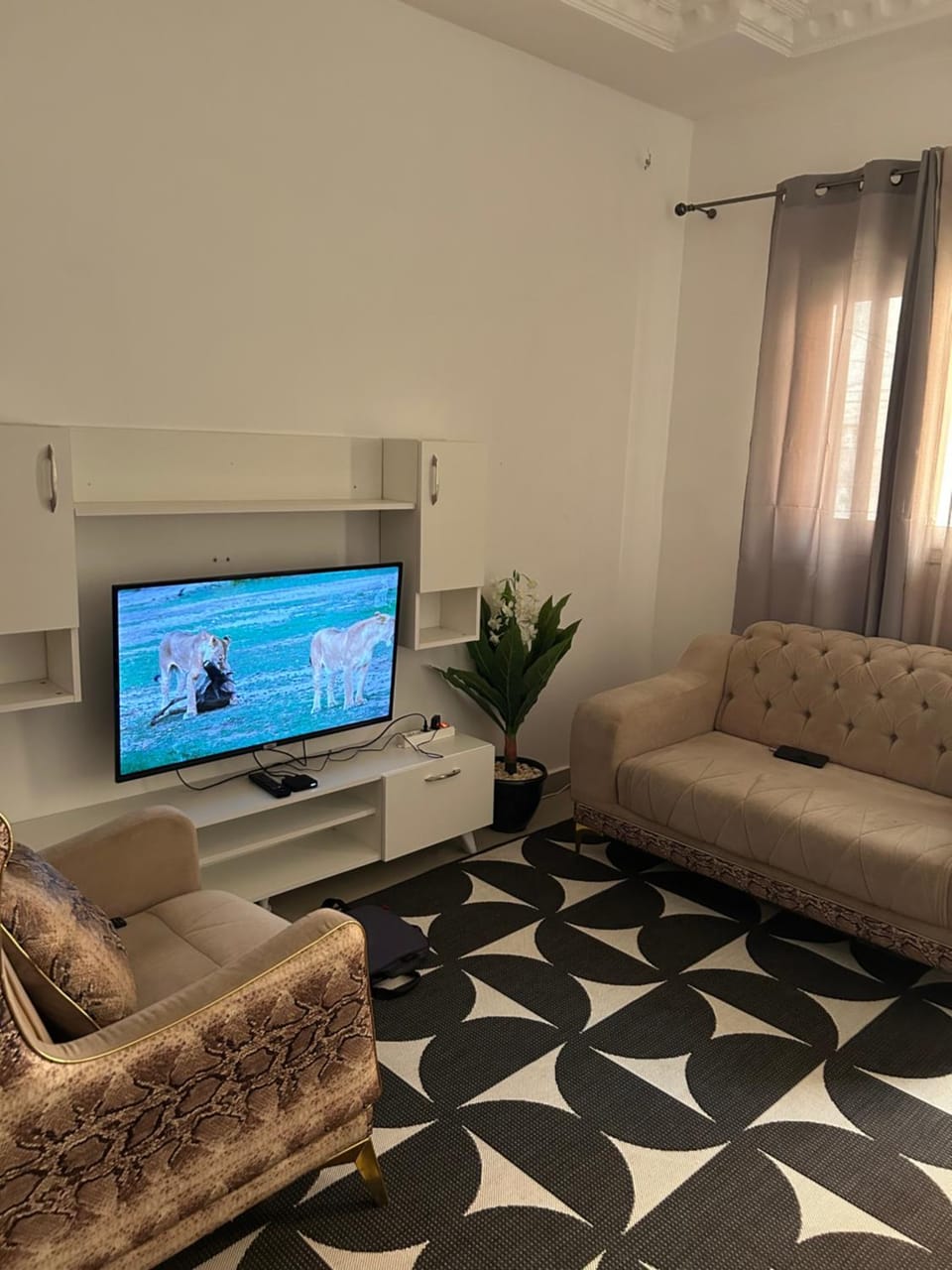 TV and multimedia