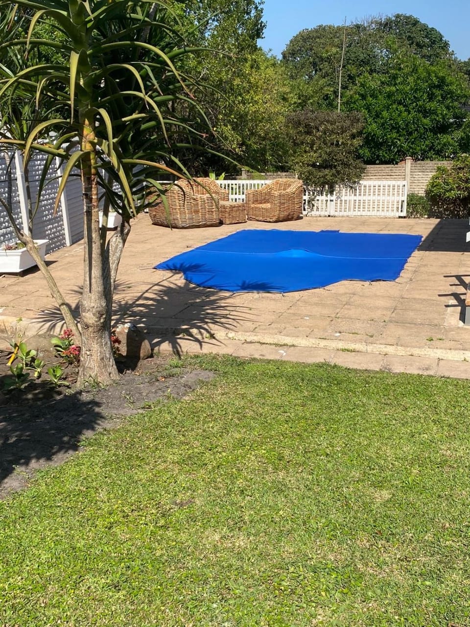 Swimming pool, Swimming pool