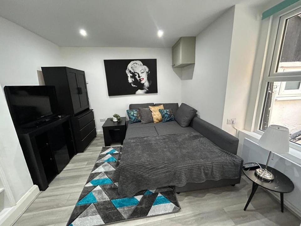 Studio apartament in Clapham Apartment in London