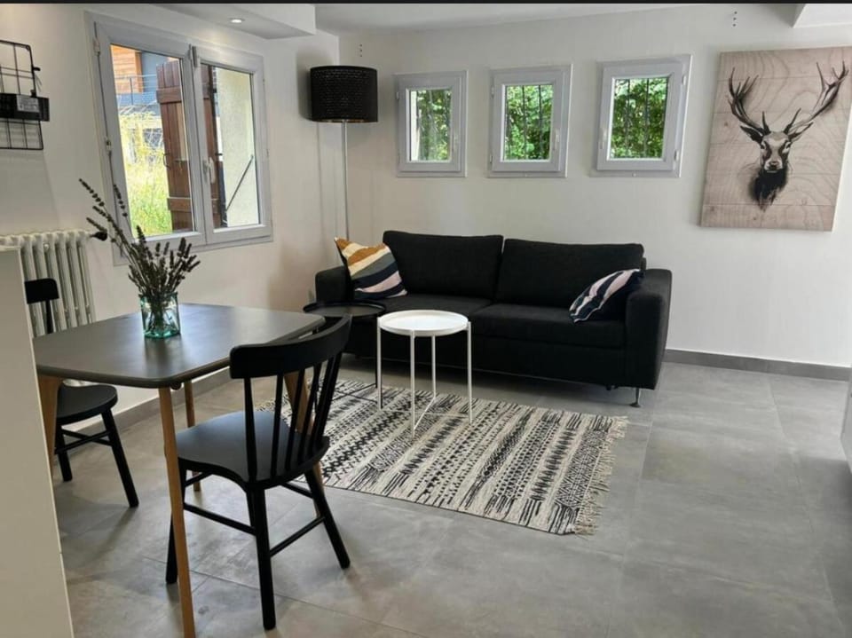 Le Rossignol Apartment in Canton of Geneva