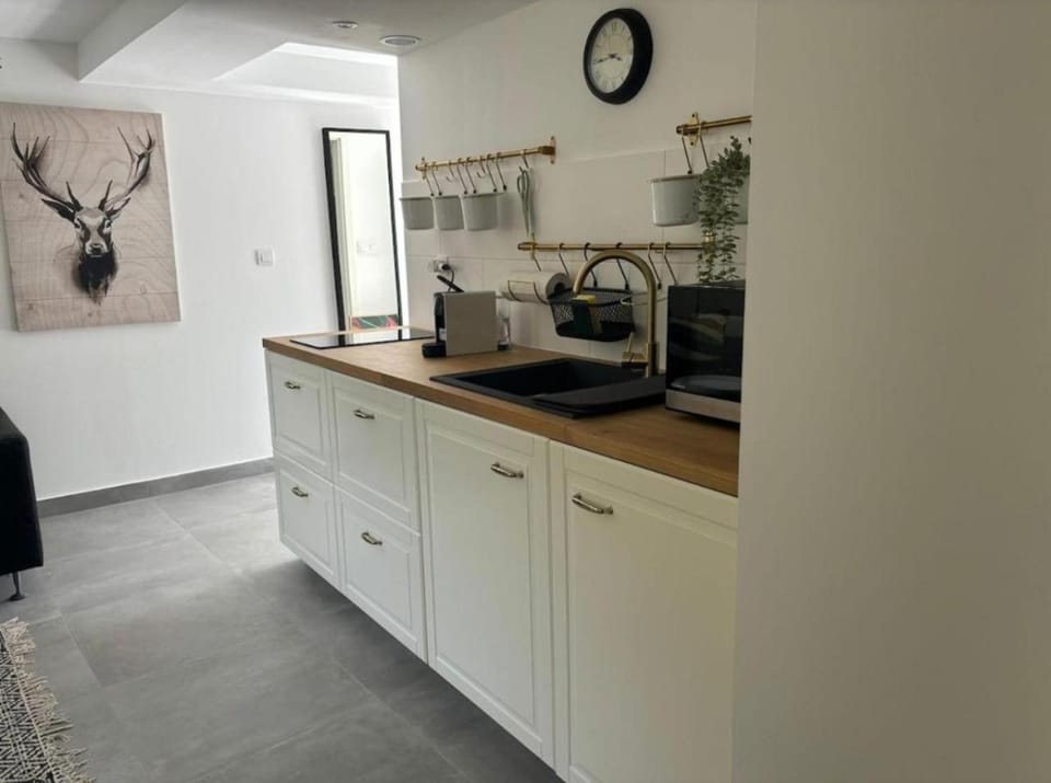 Le Rossignol Apartment in Canton of Geneva