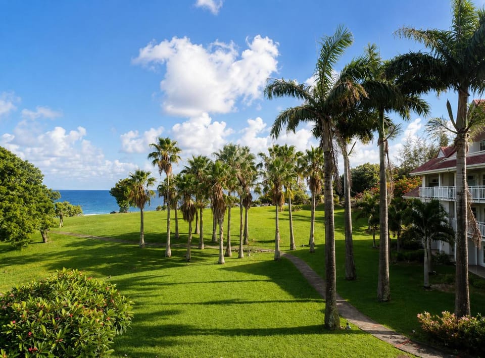 Garden, Garden view, Sea view