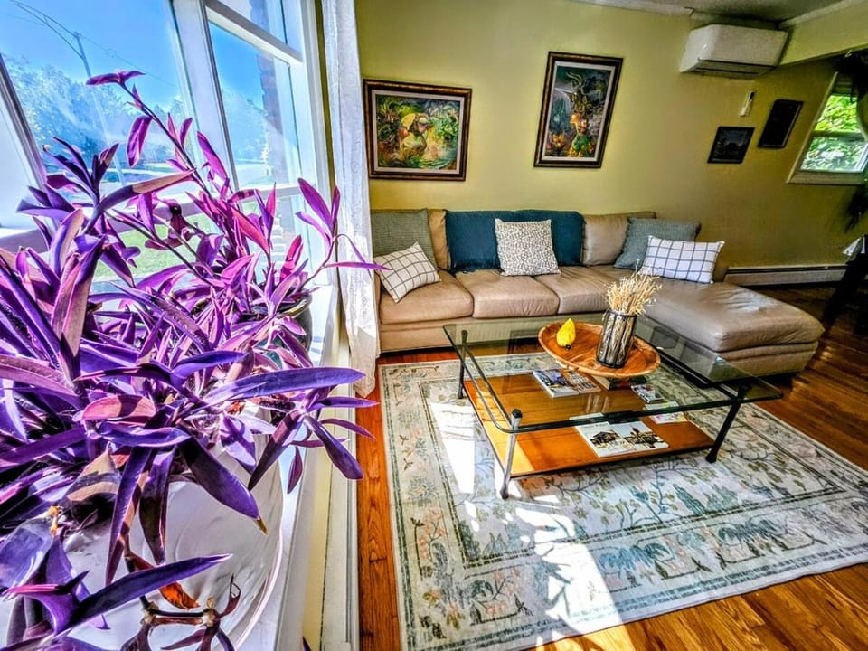 3 Bed 2 Bath, Near UAlbany & MVP Arena, Private Driveway Parking Apartment in Albany