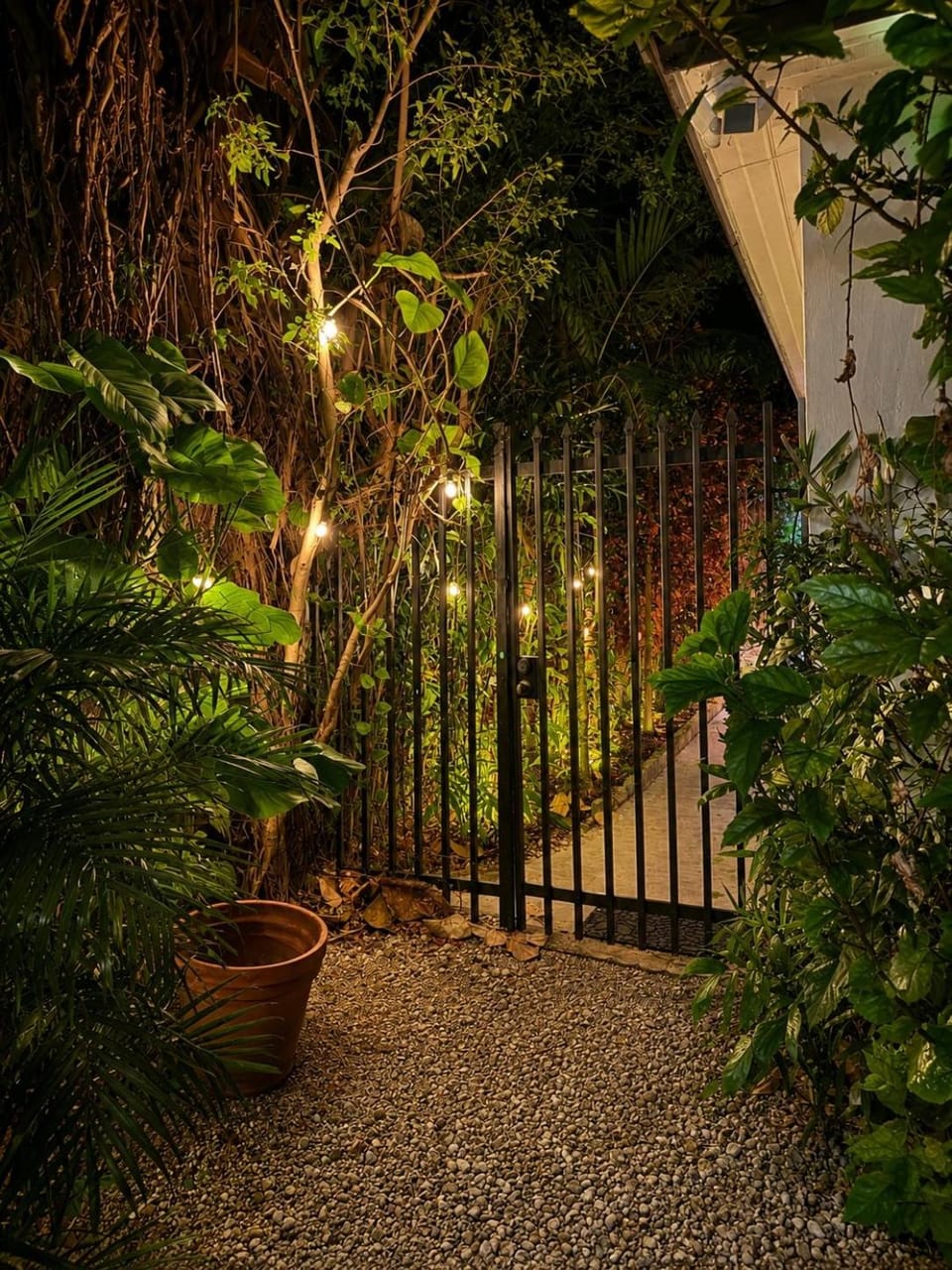 Casa Bugambilia, Miami Bed and Breakfast in Miami