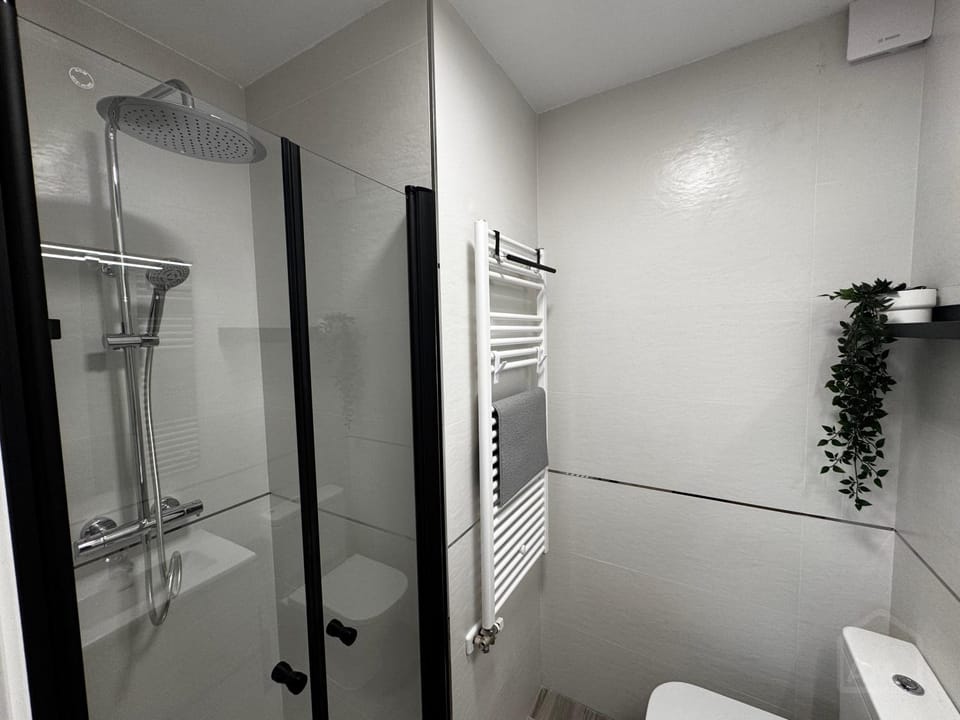 Shower, Toilet, Bathroom, towels