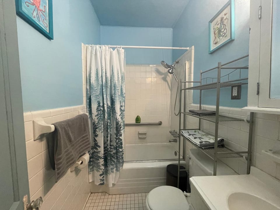 Shower, Toilet, Bathroom, towels