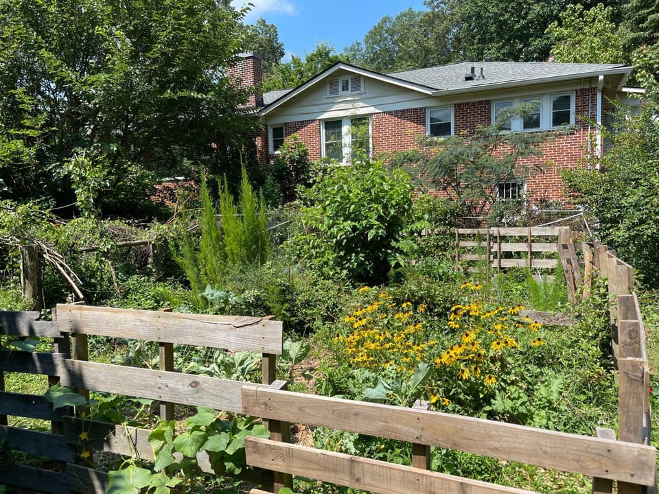 Property building, Garden