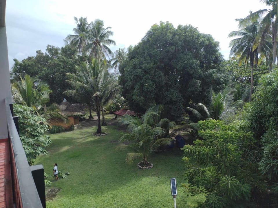 Natural landscape, Garden