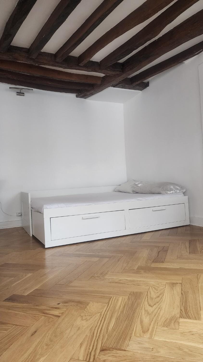 Elegant Haussmann apartment 50m G Lafayette Apartment in Paris