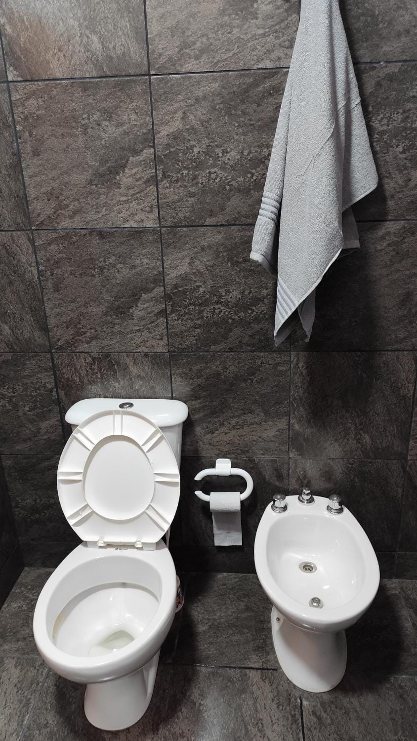 Toilet, Bathroom, towels