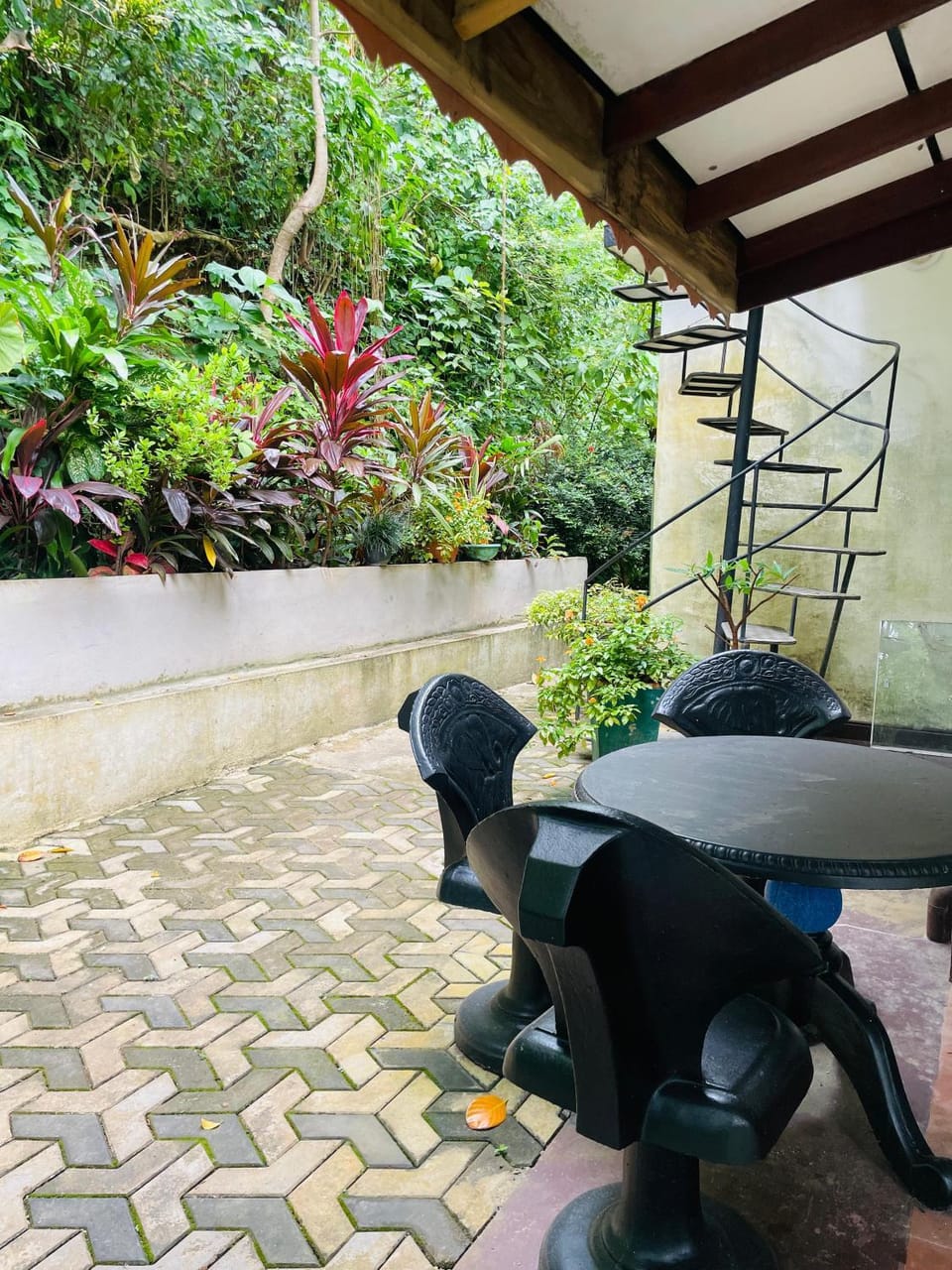 Day, Garden, Pets, Garden view